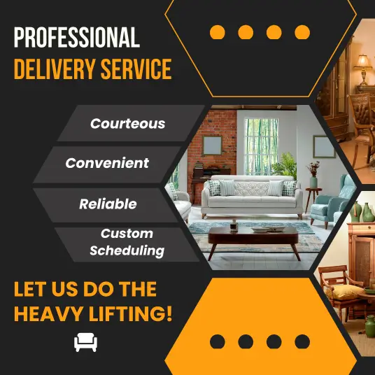 Professional Delivery