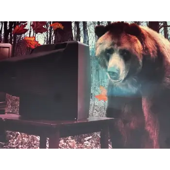 Classy Art Bear Watching TV Wall Art