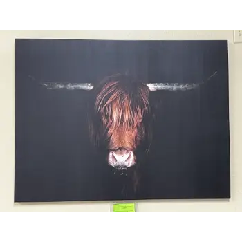 Classy Art Bull with Horns Wall Art