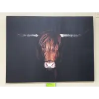 Classy Art Bull with Horns Wall Art