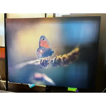 Classy Art Butterfly Walking Wall Art