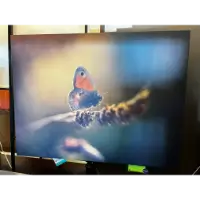 Classy Art Butterfly Walking Wall Art