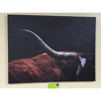 Classy Art Cow Horn Closeup Wall Art