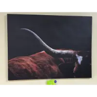 Classy Art Cow Horn Closeup Wall Art