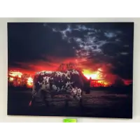 Classy Art Early Morning Cow Wall Art