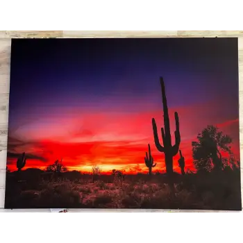 Classy Art Desert Sunset Wall Art