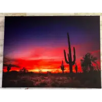 Classy Art Desert Sunset Wall Art