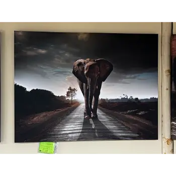 Classy Art Elephant Walking Wall Art
