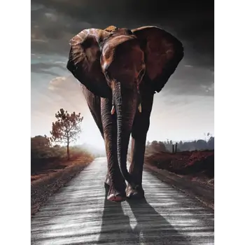 Classy Art Elephant Walking Wall Art