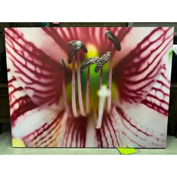 Classy Art Flower Closeup Wall Art