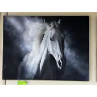 Classy Art White Horse in Mist Wall Art