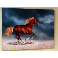Classy Art Horse Running Wall Art