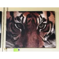 Classy Art Tiger Closeup Wall Art