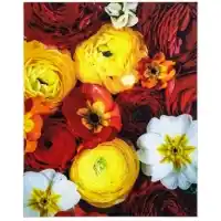 Yosemite Home Blooming Bouquet Tempered Glass Wall Art Panel