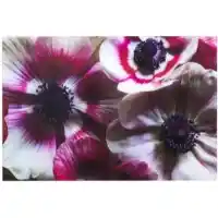 Yosemite Home Anemone Floral Tempered Glass Wall Art Panel