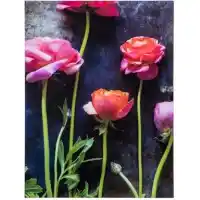 Yosemite Home Ranuculus Tempered Glass Wall Art Panel