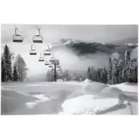 Yosemite Home White Out Tempered Glass Wall Art Panel