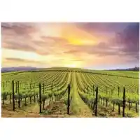 Yosemite Home Grapevines Tempered Glass Wall Art Panel