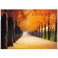 Yosemite Home Perfect Trail Tempered Glass Wall Art Panel