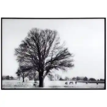 Yosemite Home Stillness Tempered Glass Framed Wall Art Panel