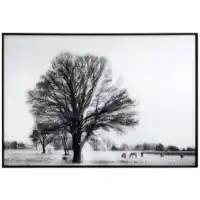 Yosemite Home Stillness Tempered Glass Framed Wall Art Panel