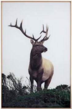 Yosemite Home Lone Elk Framed Wall Art Panel