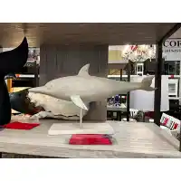 Three Hands Large Antique White Dolphin Table Top Decor