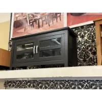 Stanley Ranger Black 44-Inch 2-Door TV Stand