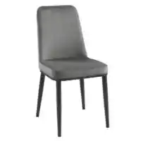 Homelegance Salerno Grey Velvet Side Chairs (set of 2)