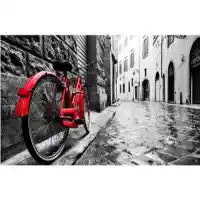 Yosemite Home Red Bicycle Tempered Glass Wall Art Panel