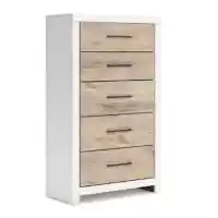 Ashley Chadwick Two-Tone Chest