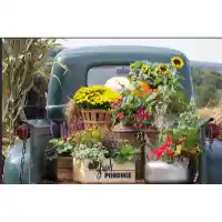 Streamline Vintage Truck with Flowers 22x28 Wall Art
