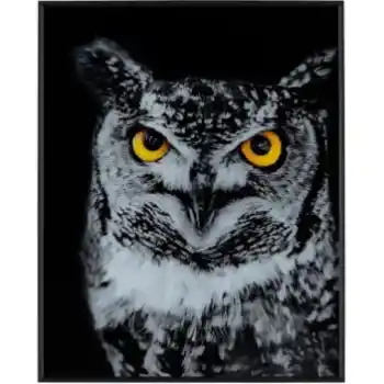 Crestview Hoot Wall Art Panel
