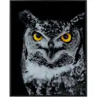 Crestview Hoot Wall Art Panel