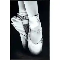 Crestview Ballet Slippers Wall Art Panel