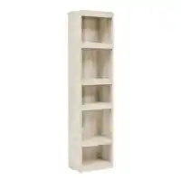 Ashley Bellamy Bookcase/Pier Cabinet