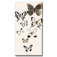 Streamline Butterflies Fly I 16x32 Wall Art