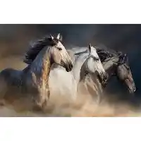 Classy Art Horses Running Tempered Glass Wall Art