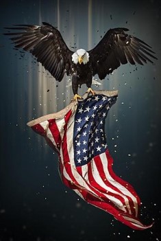 Classy Art Eagle With American Flag Wall Art