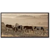 Streamline Wild Horse Sanctuary 30 x 60 Wall Art