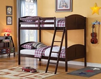 Acme Cappuccino Finish Twin Over Twin Bunk Bed