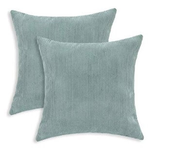 Blue Plush Corduroy Throw Pillows (set of 2)