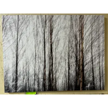 Classy Art Black & White Trees Wall Art