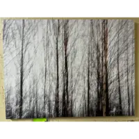 Classy Art Black & White Trees Wall Art