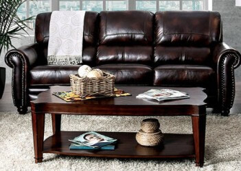 Furniture of America Edmont Top Grain Leather Match Sofa