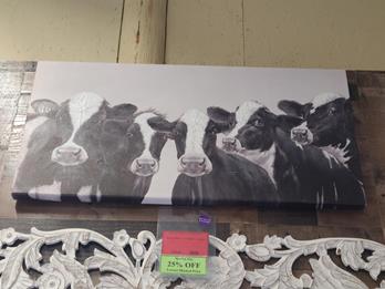 Black & White Cows Wall Art