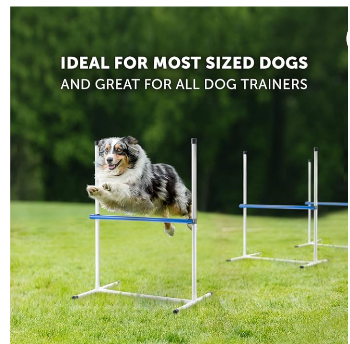 Better Sporting Dogs Jump System
