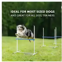 Better Sporting Dogs Jump System