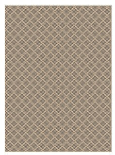 Mohawk Encore Sisal Indoor/Outdoor 5x8 Area Rug