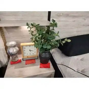 Tall Eucalyptus Foliage Arrangement in Rustic Black Planter